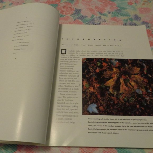 FRACTALS THE PATTERNS OF CHAOS BY JOHN BRIGGS 1992 - Picture 8 of 15